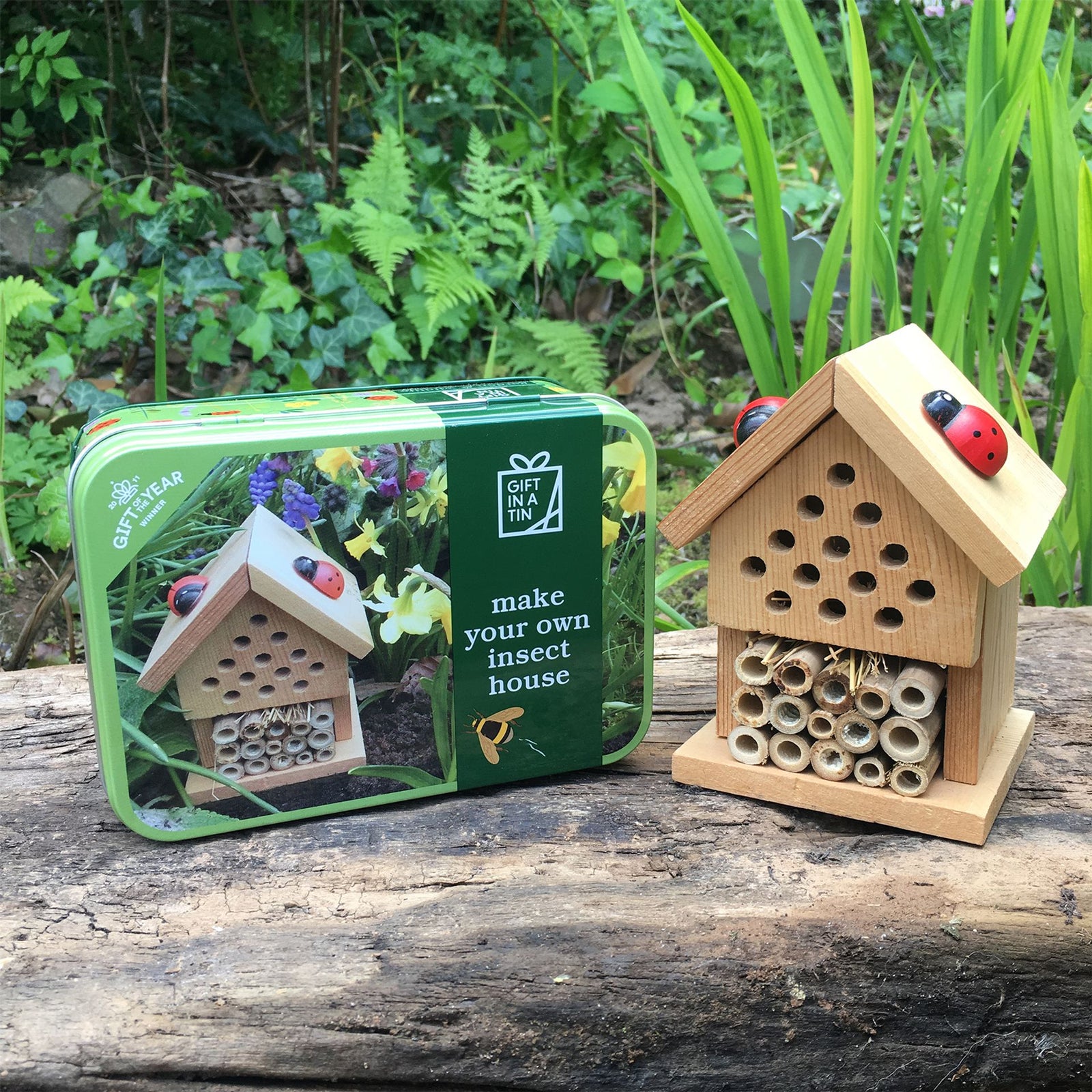 APPLES TO PEARS MAKE YOUR OWN INSECT HOUSE