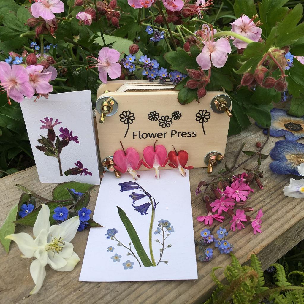 APPLES TO PEARS FLOWER PRESSING KIT