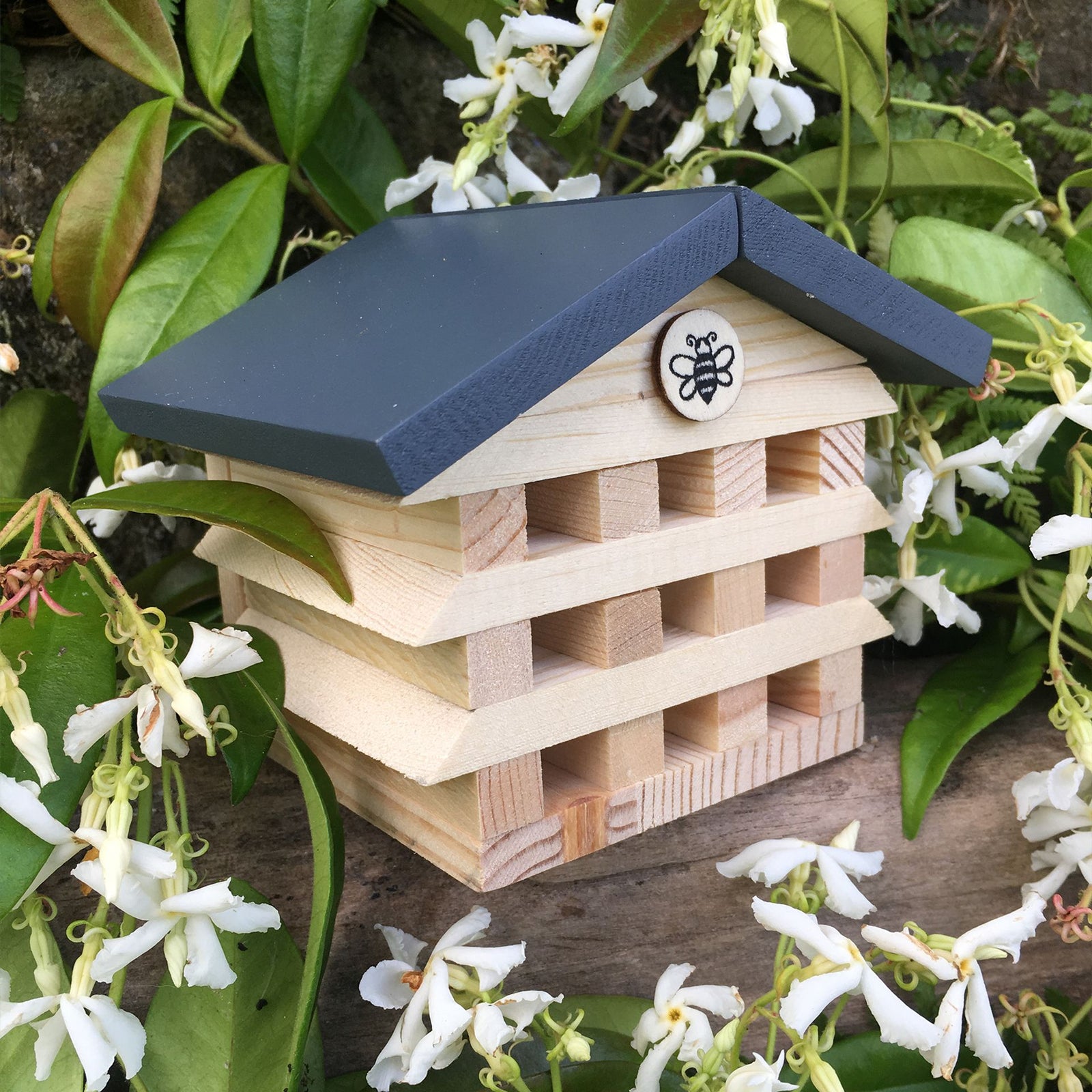 APPLES TO PEARS BUILD A BEE HOTEL