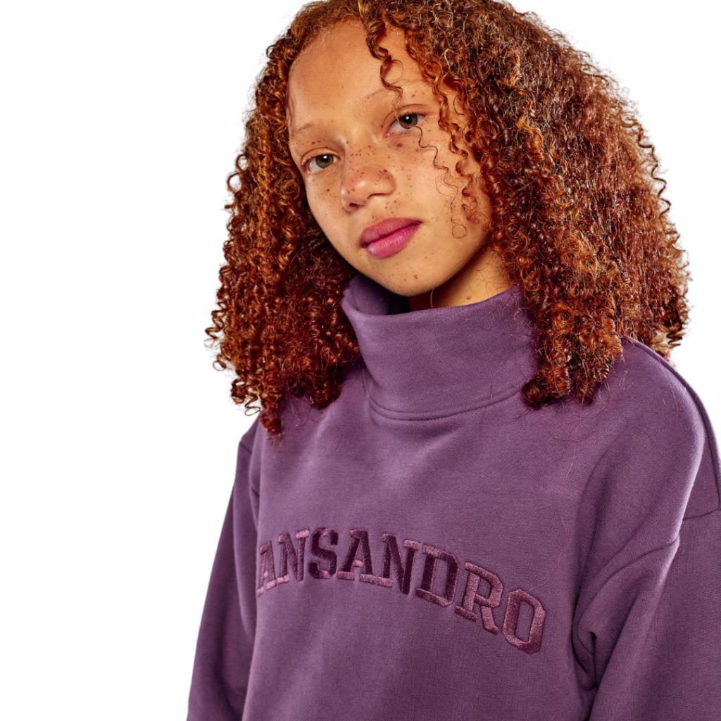ANSANDRO PLUM HIGH NECK SWEATSHIRT