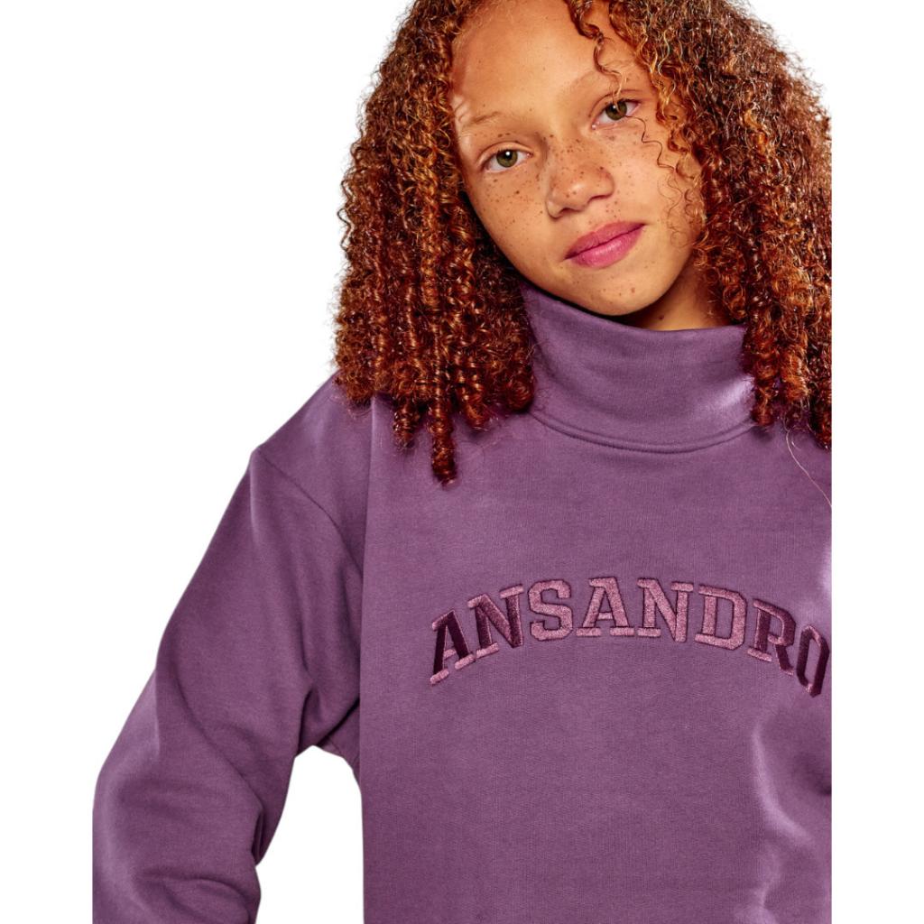 ANSANDRO PLUM HIGH NECK SWEATSHIRT