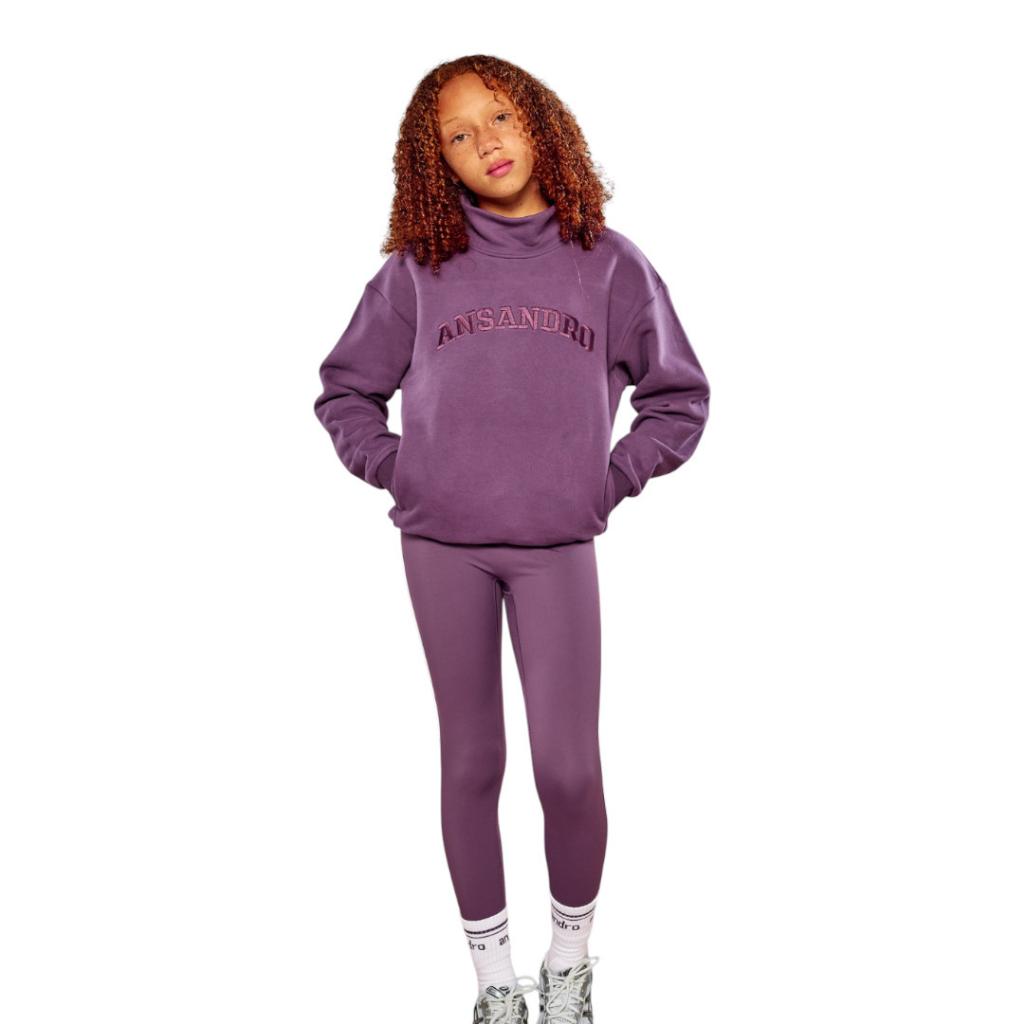 ANSANDRO PLUM HIGH NECK SWEATSHIRT