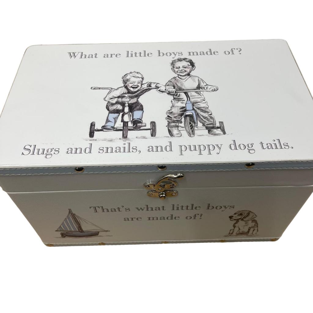 BOYS MEDIUM STORAGE BOX