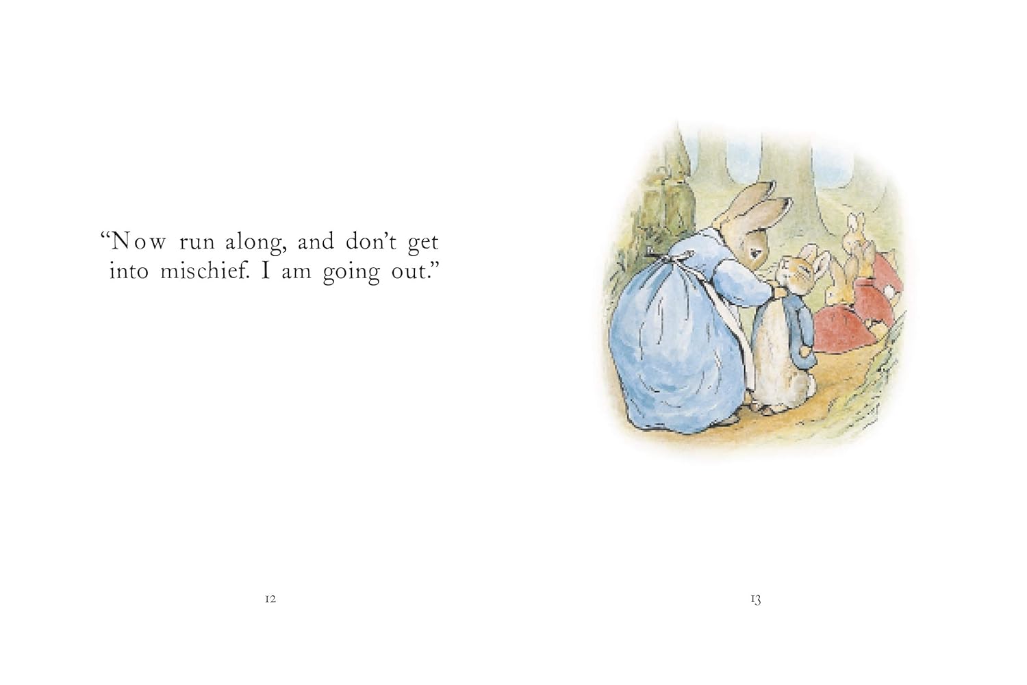 PETER RABBIT THE TALE OF PETER RABBIT BOOK