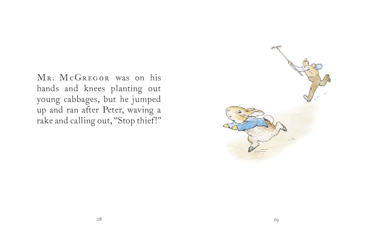 PETER RABBIT THE TALE OF PETER RABBIT BOOK