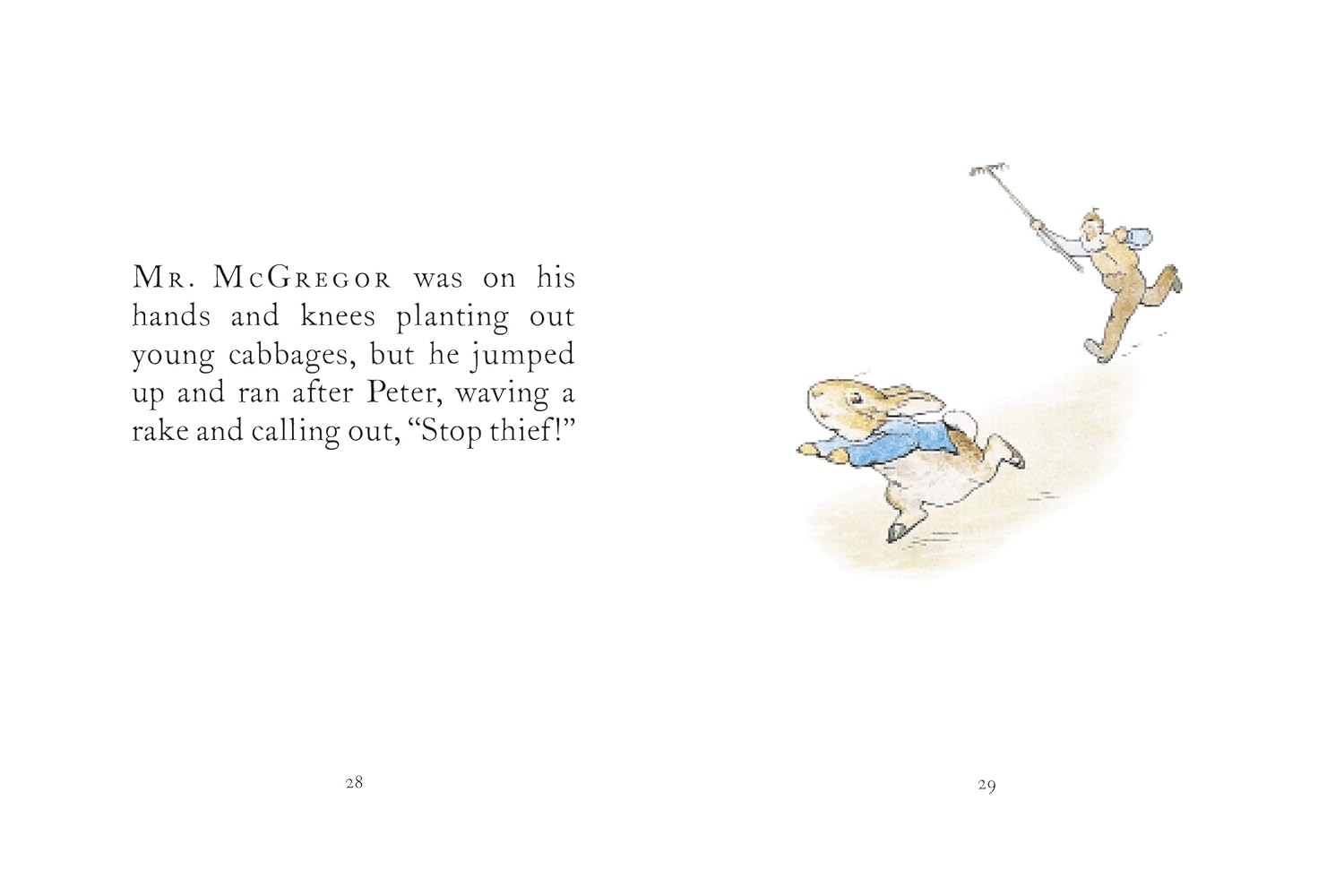 PETER RABBIT THE TALE OF PETER RABBIT BOOK