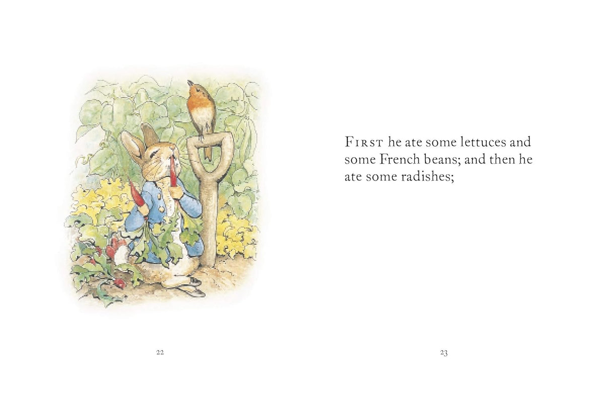 PETER RABBIT THE TALE OF PETER RABBIT BOOK