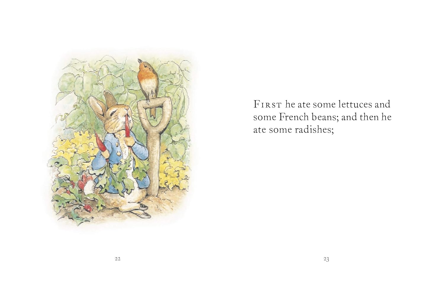 PETER RABBIT THE TALE OF PETER RABBIT BOOK