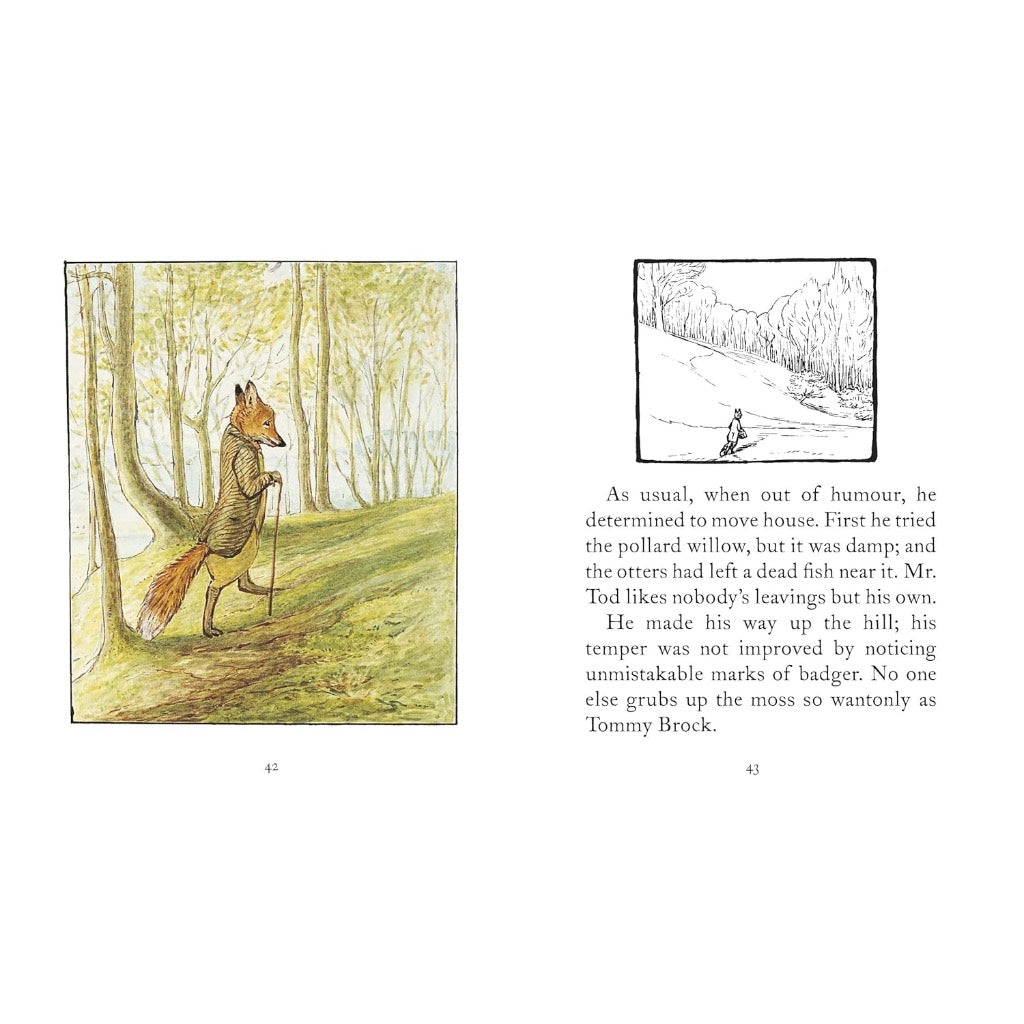 PETER RABBIT THE TALE OF MR TOD BOOK