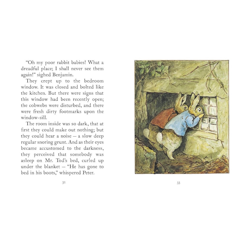 PETER RABBIT THE TALE OF MR TOD BOOK