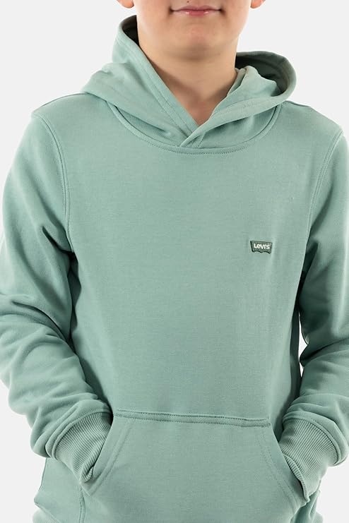LEVIS PULL OVER HOODIE EK422