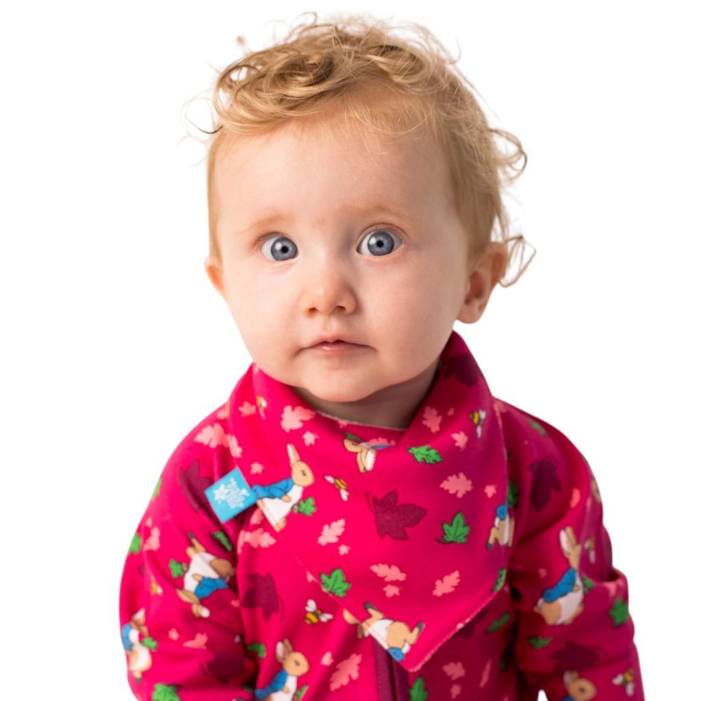 BLADE &amp; ROSE PETER RABBIT AUTUMN LEAF BIB