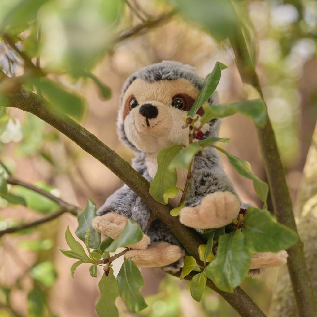 CHARLIE BEARS CUDDLE CUB SLOTH CC24112I