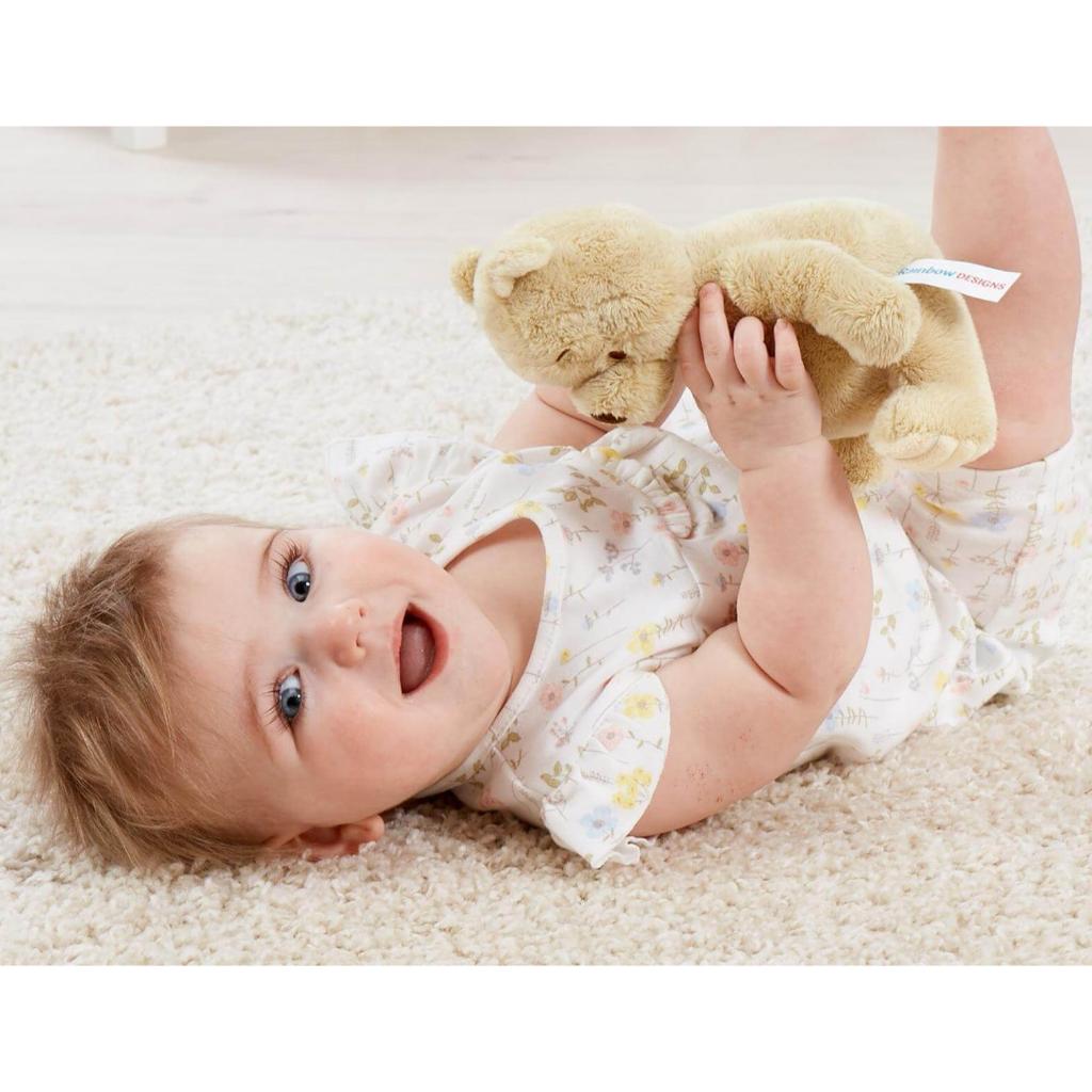 WINNIE THE POOH SOFT TOY DN1460