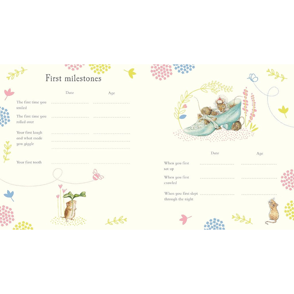 PETER RABBIT BABY RECORD BOOK