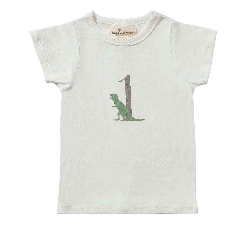 TINY VICTORIES BIRTHDAY TOP TV203B