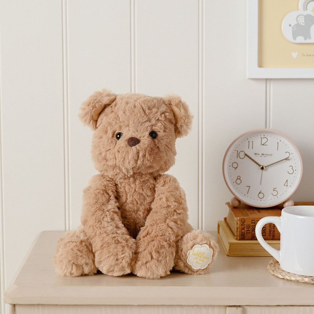 SOFTIES WILLIAM THE TEDDY BEAR