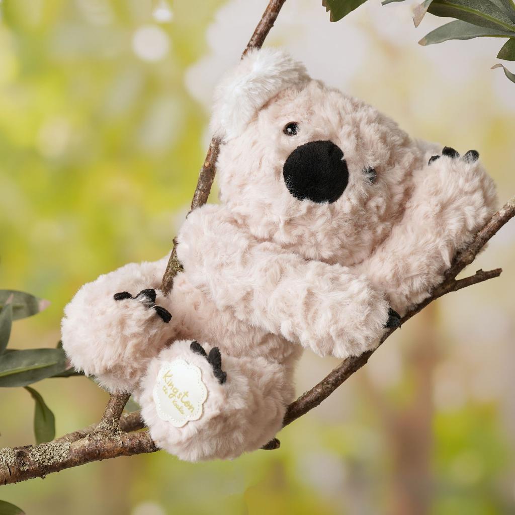 SOFTIES KINGSTON THE KOALA BEAR