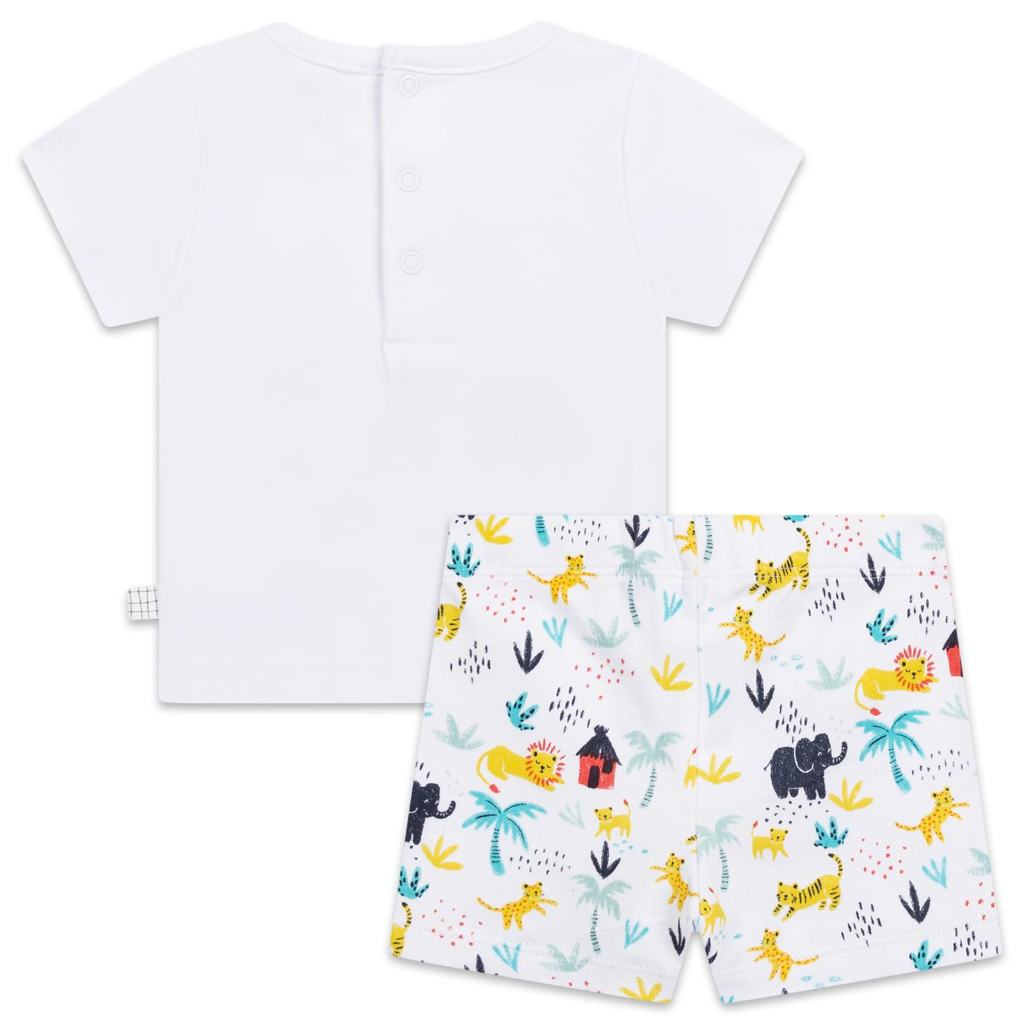 CARREMENT BEAU T SHIRT & SHORTS SET Y98168